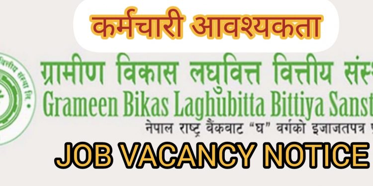 ग्रामिण विकास लघुवित्तले माग्यो सिईओ , मासिक तलब १ लाख २० हजार (हेर्नुहोस सूचना सहित)