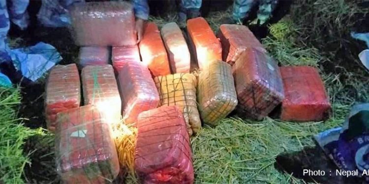 महोत्तरीबाट १६० किलो गाँजा बरामद