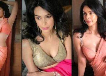 मल्लिका शेरावत : बोल्ड दृश्यको पर्याय (हेर्नुहोस यी बोल्ड दृश्य)