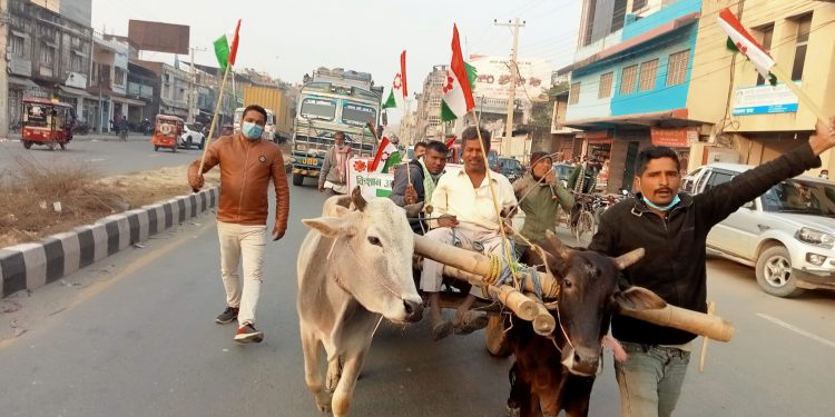 सिरहा सहितका जिल्लामा किसानहरुले निकाले गोरुगाडा जुलुस