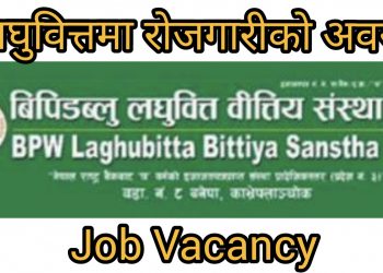 बिपिडब्लु लघुवित्तमा रोजगारीको अवसर,SEE उतिर्णले पनि आवेदन दिन पाउने (हेर्नुहोस भ्याकेन्सी नोटिस सहित)