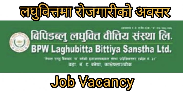 बिपिडब्लु लघुवित्तमा रोजगारीको अवसर,SEE उतिर्णले पनि आवेदन दिन पाउने (हेर्नुहोस भ्याकेन्सी नोटिस सहित)