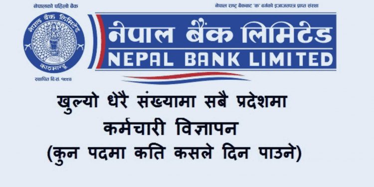 नेपाल बैंक लिमिटेडले माग्यो ठूलो संख्यामा कर्मचारी, यसरी दिनु सकिन्छ आवेदन(हेर्नुहोस भ्याकेन्सी नोटिस सहित)