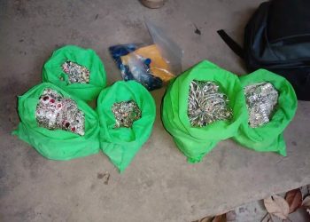 हवल्दार हुँ भन्दै सुनचाँदी लु टपाट गर्ने नक्कली प्रहरी मनोज ठाकुर प क्राउ