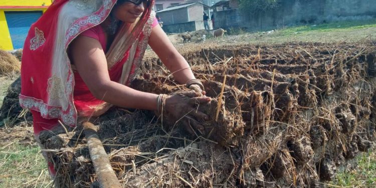 ग्रामीण भेगमा इन्धनका लागि ‘गुइँठा’