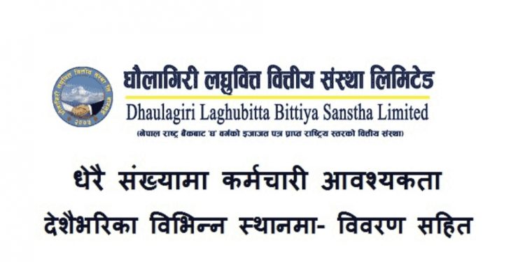 धौलागिरी लघुवित्तले माग्यो कर्मचारी,एसइई उत्तिर्ण गरेकालाई पनि अवसर (हेर्नुहोस भ्याकेन्सी नोटिस सहित)