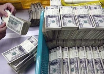 विदेशी मुद्राको सञ्चिति झन् घट्यो