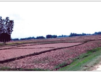 समयमा पानी नपर्दा भएन धान रोपाइ किसान चिन्तित