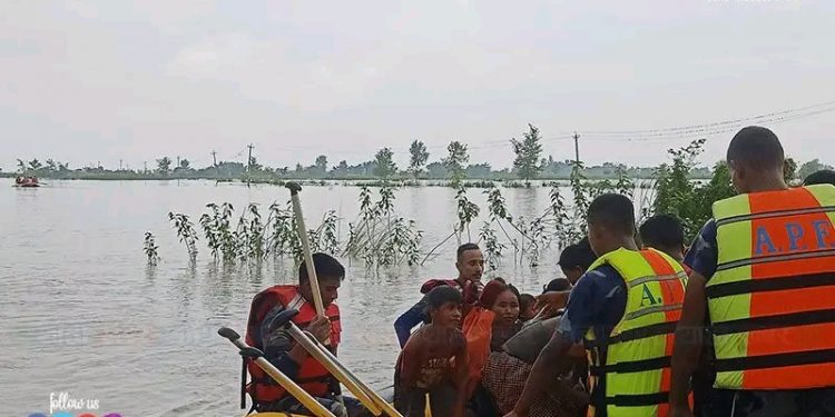 सप्तकोसीको बाँध फुट्यो, ४ हजार घर परिवार उच्च जोखिममा
