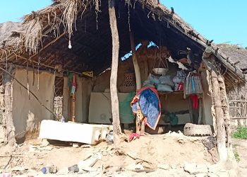 सिरहामा जंगली हात्ती बस्ती पसेपछि….