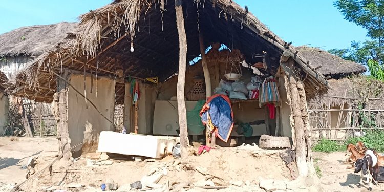सिरहामा जंगली हात्ती बस्ती पसेपछि….