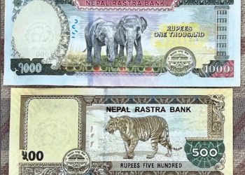 १ हजार र ५ सयको नोटको सिरिज बन्द गर्न सुझाव