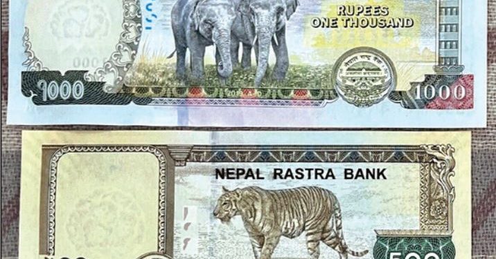 १ हजार र ५ सयको नोटको सिरिज बन्द गर्न सुझाव