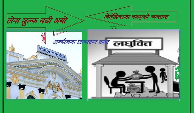 २५ लघुवित्तले लाभांश घोषणा: ७ लघुवित्तले एजिएम सम्पन्न गर्दा १५ को अझै अन्यौल, यस्तो छ कारण !