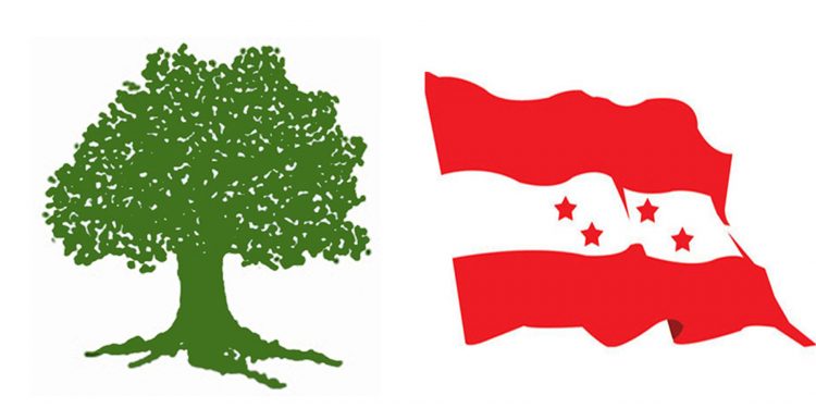 संसदमा मधेश आन्दोलनका शहीदको अपमान भएको भन्दै कांग्रेसको प्रदेश कमिटीले जनायो आपत्ति