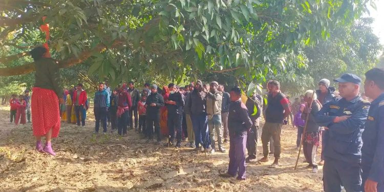 सप्तरीमा लघुवित्त र साहु महाजनको ऋण तिर्न नसकेर शान्ताले गरिन आ त्मह त्या,ऋणको भार बढ्दा आ त्मह त्यामा वृ द्धि
