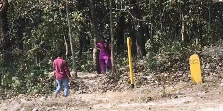 पर्सा निकुञ्जभित्र यौ नजन्य धन्धा, ७ जना महिला प क्राउ