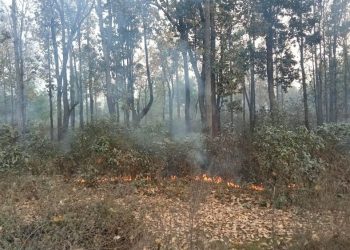 महोत्तरीमा डढेलोले सखाप हुँदै वन