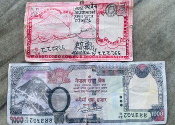 मधेस प्रदेशमा नक्कली नोटको बिगबिगी,दिनहु व्यापारी ठगिदै