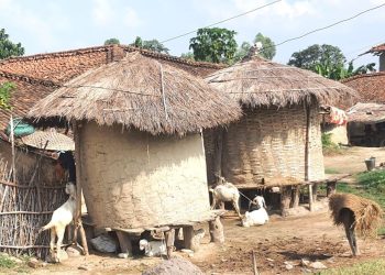 तराईमा हराउँदै गए भकारी र कोठी