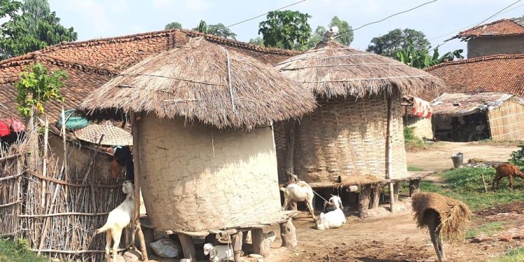 तराईमा हराउँदै गए भकारी र कोठी