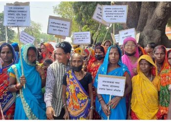 हरवाचरवाको पीडा : साहुले गाभिनो भैँसी लगे, अब घडेरी लाने त्रास