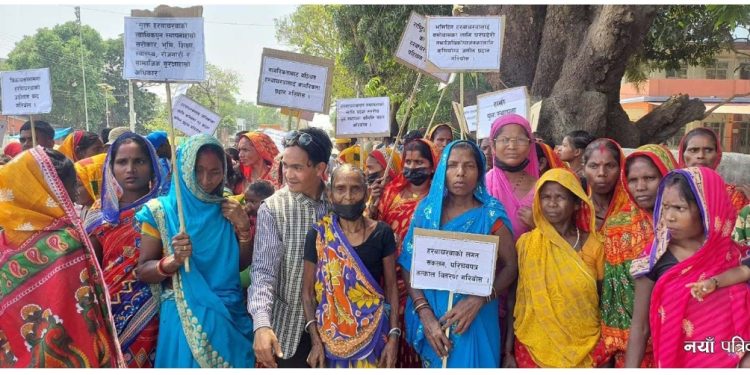 हरवाचरवाको पीडा : साहुले गाभिनो भैँसी लगे, अब घडेरी लाने त्रास