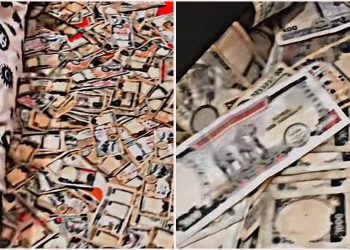 महोत्तरीका युवकले पैसा बिछ्याएर टिकटक बनाएपछि प्रहरीले…