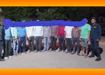 मधेस प्रदेश : यातायात कार्यालयबाट एकैदिन १० जना बिचौलिया प क्राउ