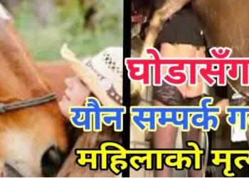 घोडासंग यौ न सम्पर्क गर्दा एक महिलाकाे मृ त्युु…..