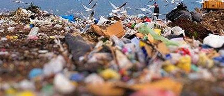 मधेश प्रदेशको यो स्थानीय तहमा अब जथाभावी फोहोर फ्याके लाग्नेछ सार्वजनिक मुद्दा