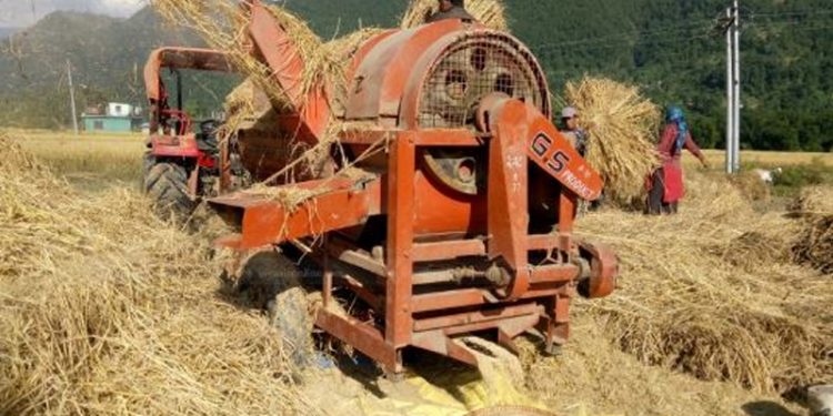सप्तरीमा थ्रेसरमा कपाल फँसेपछि एकजना घाइते