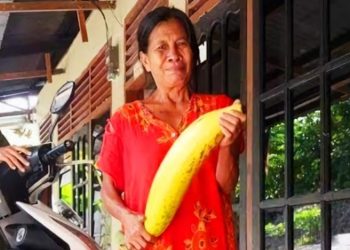 यो हो संसारकै ठूलो केरा ? एउटै कोसाको वजन ३ केजी (फोटो सहित)