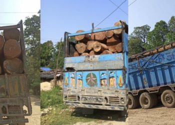 महोत्तरीमा ८५ लाख ५२ हजार बराबरको सालकाे काठ प्रहरीको नियन्त्रणमा