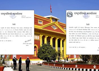 रेशम चौधरीसहित १९ जनालाई आममाफी, ४८२ को कैद सजाय मिनाह