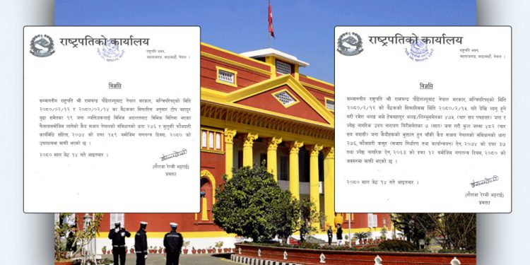 रेशम चौधरीसहित १९ जनालाई आममाफी, ४८२ को कैद सजाय मिनाह