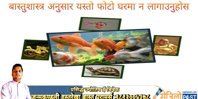 बास्तुशास्त्र अनुसार घरमा राख्नु हुदैन यस्तो तस्बिर