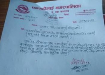 सिरहाको धनगढीमाई १४ का पशुमाहरूमा देखियो‘लम्पी स्किन रोग