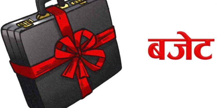 स्थानीय तहले आइतबार बजेट प्रस्तुत गर्दै