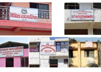 धनुषाका पाँच पालिकाले बजेट ल्याउन सकेनन्