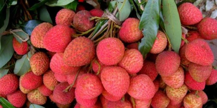 लिचीको दाना घाँटीमा अड्किएर एक बालकको मृ त्यु    