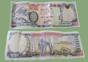 पर्सा र चितवनमा नक्कली नोटसहित २ जना प क्राउ