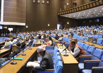 प्रतिनिधिसभाबाट बजेट बहुमतले पारित, पक्षमा १ सय ४७ र विपक्षमा १ सय ८ मत