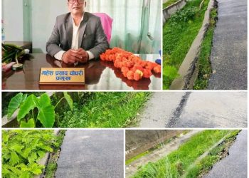 लहान नगरपालिकामा अनियमितताको लहरसँगै विकासको नाममा विनाश