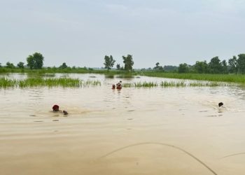 सर्लाहीमा भारी वर्षाका कारण खोलामा आएको बाढीले बगाउँदा दुईजनाको मृ त्यु