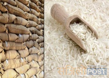 भारतले खोल्यो नेपालसहित ७ देशमाथिको चामल निर्यात प्रतिबन्ध