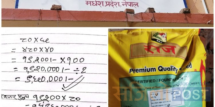 सिरहा : अनुदानको गेहुँवीउँमा बढी मुनाफा कमाउने आड्मा कर्मचारीको ब्रहम्लुट