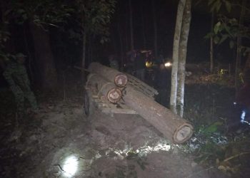 मधेश प्रदेश : अवैध सालको काठ बरामद