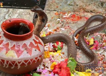 रौतहटमा नाग देवता भनेर दैनिक सैयौं मानिसले पूजा गर्दै आएको सर्प मृत फेला