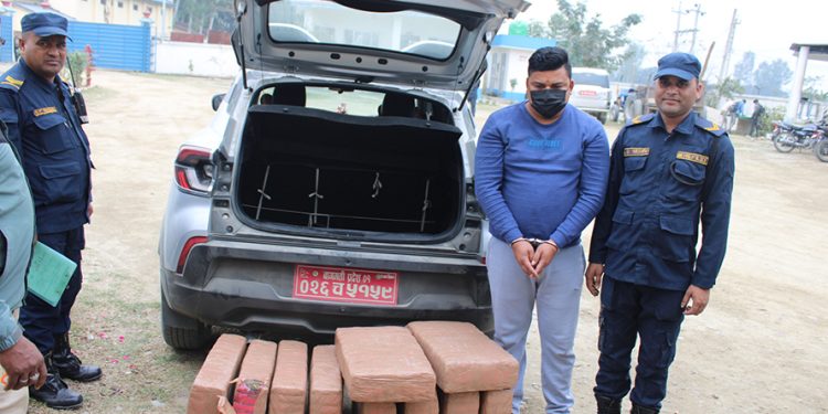 मदेश प्रदेश : ११६ किलो गाँजा सहित एक जना पक्राउ